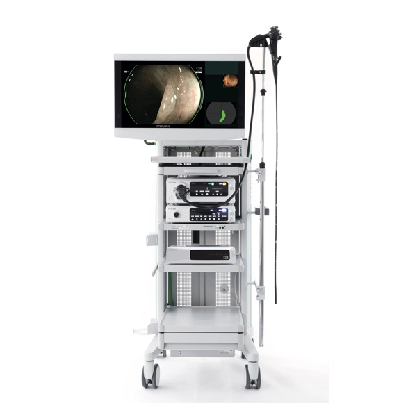 endoscopy system